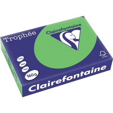Clairefontaine Kopierpapier 1025C A4 160g maigrün 250Bl.