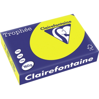 Clairefontaine Kopierpapier 1029C A4 160g kanariengelb 250Bl.